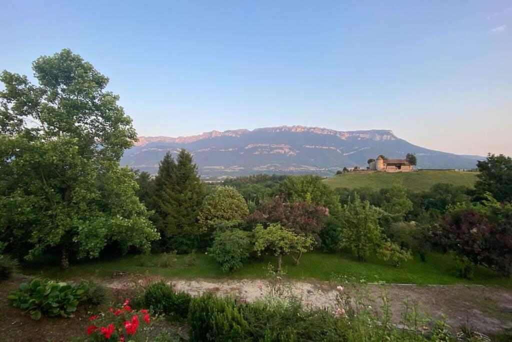 Au Calme Avec Vue Magnifique A Saint Maximin Apartment Bagian luar foto