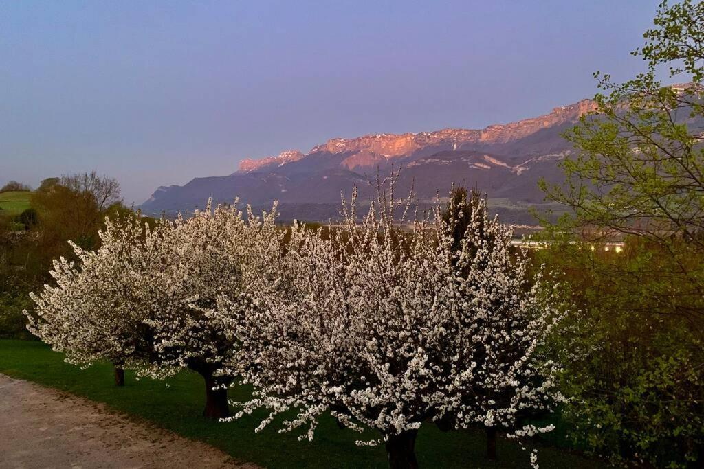 Au Calme Avec Vue Magnifique A Saint Maximin Apartment Bagian luar foto